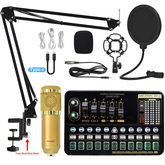Carte Son Professionnelle V10XPRO avec Microphone — Live & Studio