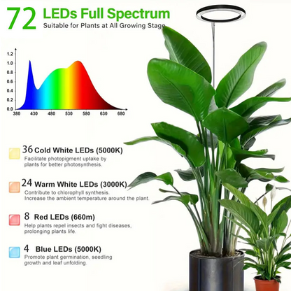 Lampe de Croissance LED Plein Spectre avec Minuterie - 2 Coloris