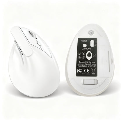Souris Verticale Ergonomique Sans Fil Silencieuse – 2.4G & Bluetooth