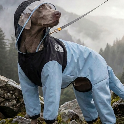 Regenjas voor grote honden met vier pijpen / 2 kleuren