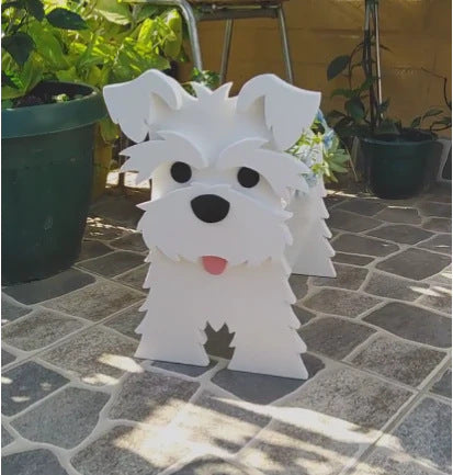 PetPlant Deco