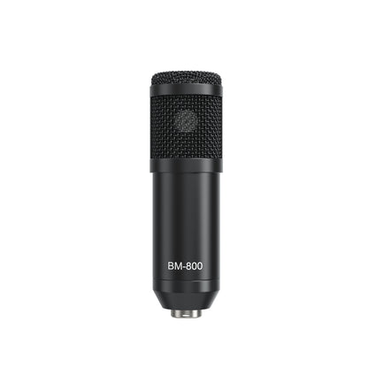 Carte Son Professionnelle V10XPRO avec Microphone — Live & Studio