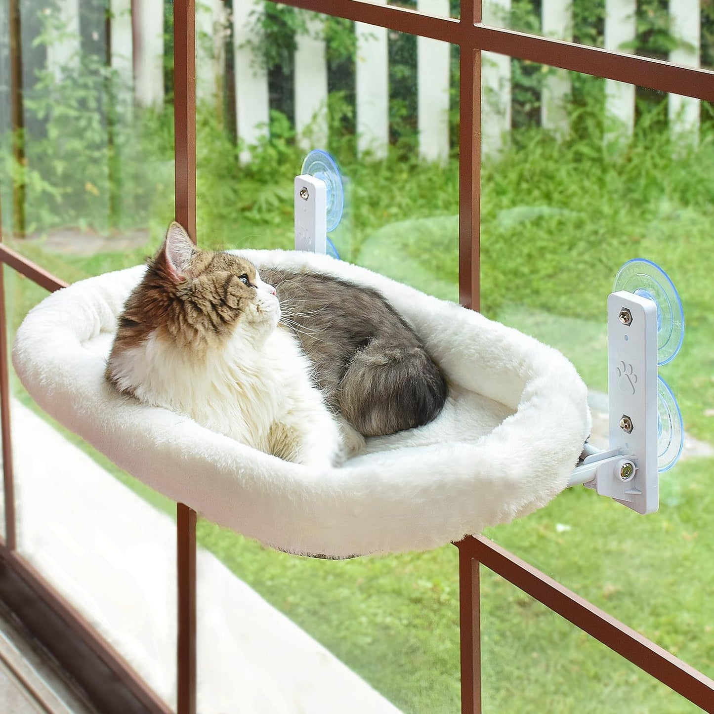 Hamac Fenêtre pour Chat — Ventouses