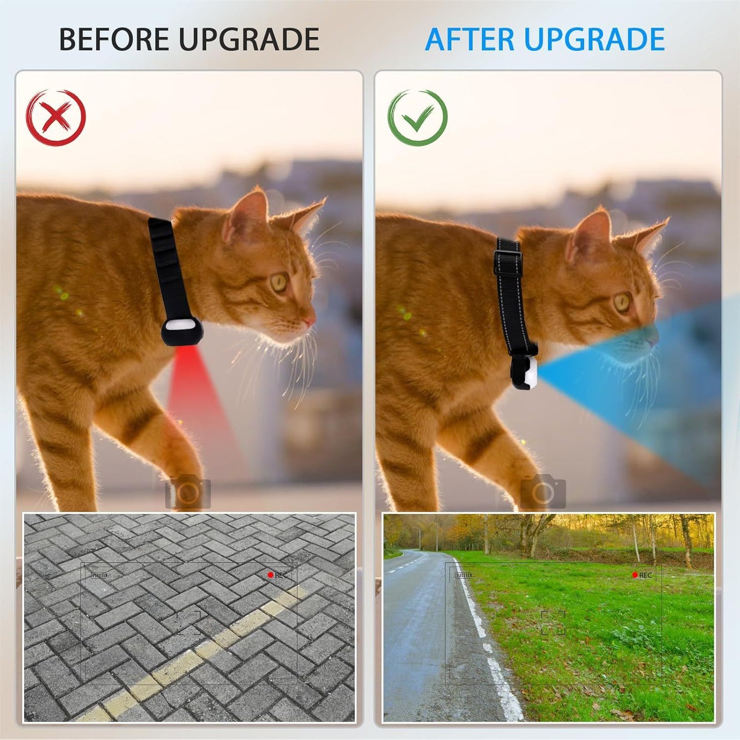 Caméra HD pour Collier Animal de Compagnie — Angle Réglable 360° / 1080P / Noir ou Blanc