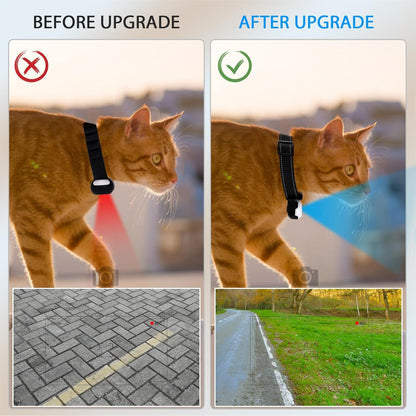 Caméra HD pour Collier Animal de Compagnie — Angle Réglable 360° / 1080P / Noir ou Blanc