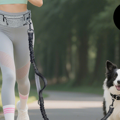 Laisse Running Chien Mains-Libres avec Ceinture Lombaire