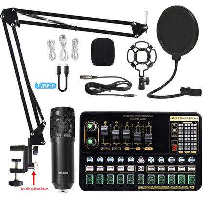 Carte Son Professionnelle V10XPRO avec Microphone — Live & Studio