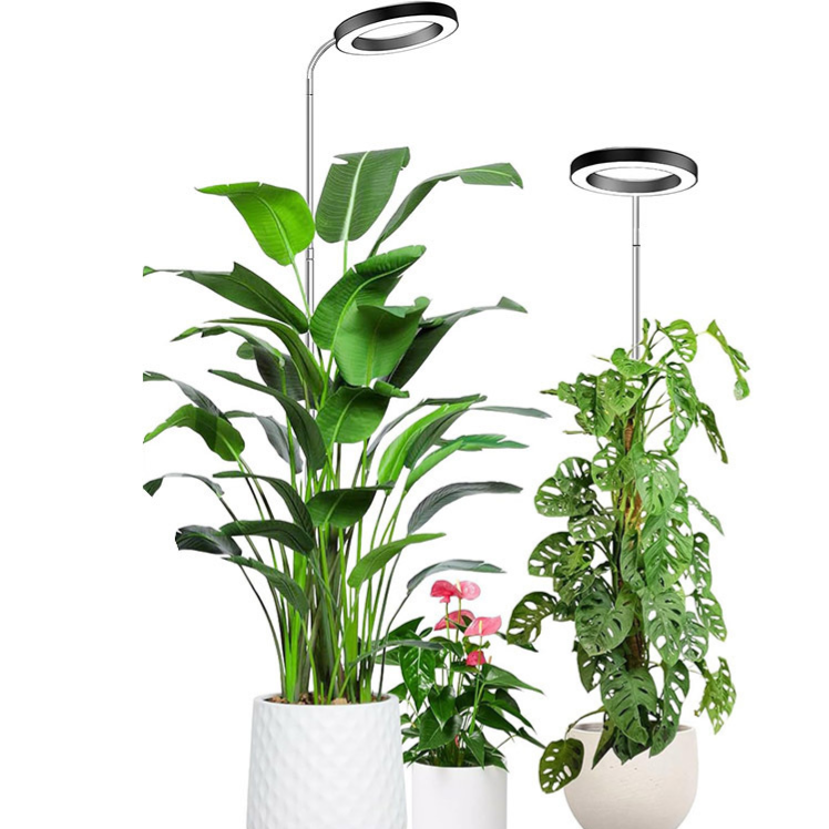 Lampe de Croissance LED Plein Spectre avec Minuterie - 2 Coloris