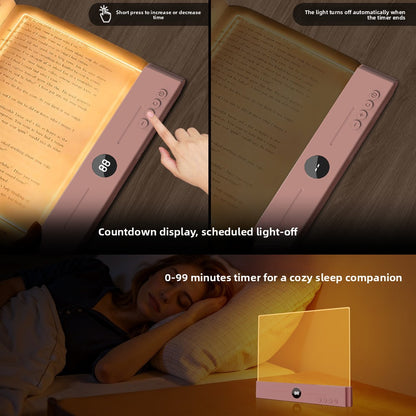 Lampe de Lecture LED à Variateur Continu — Clip / Batterie / Protection Yeux